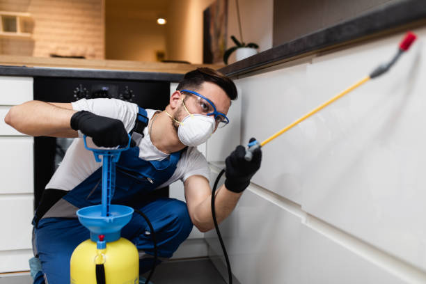 Wasp Removal Services in Ventress, LA