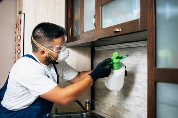 Best Pest Prevention Services  in Ventress, LA