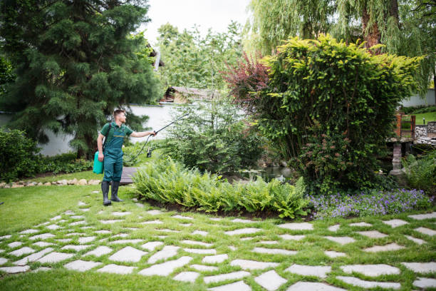 Best Wasp Removal Services  in Ventress, LA