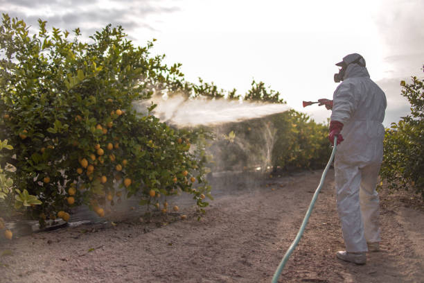 Best Cockroach Control Services  in Ventress, LA