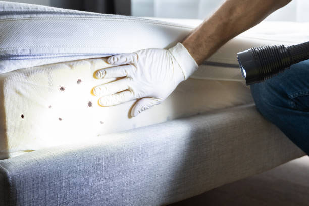 Best Mosquito Control Services  in Ventress, LA